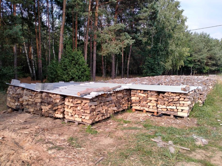 Buk Sezonowany Drewno  Kominkowe Opałowe Wrocław I Okolice