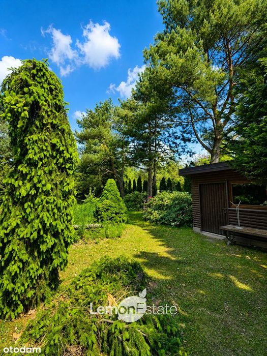 Dom 140 m² + 194 m² usług | 2144 m² działki | Plan na drugi budynek