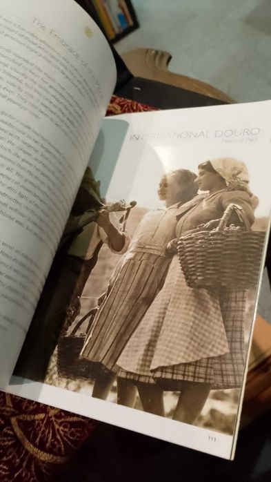 Douro Valley Journeys and Stories