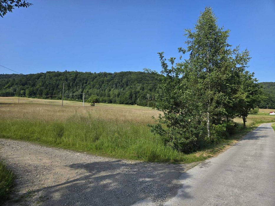 Sprzedam dużą działkę widokową w Kąclowej - Widok 2