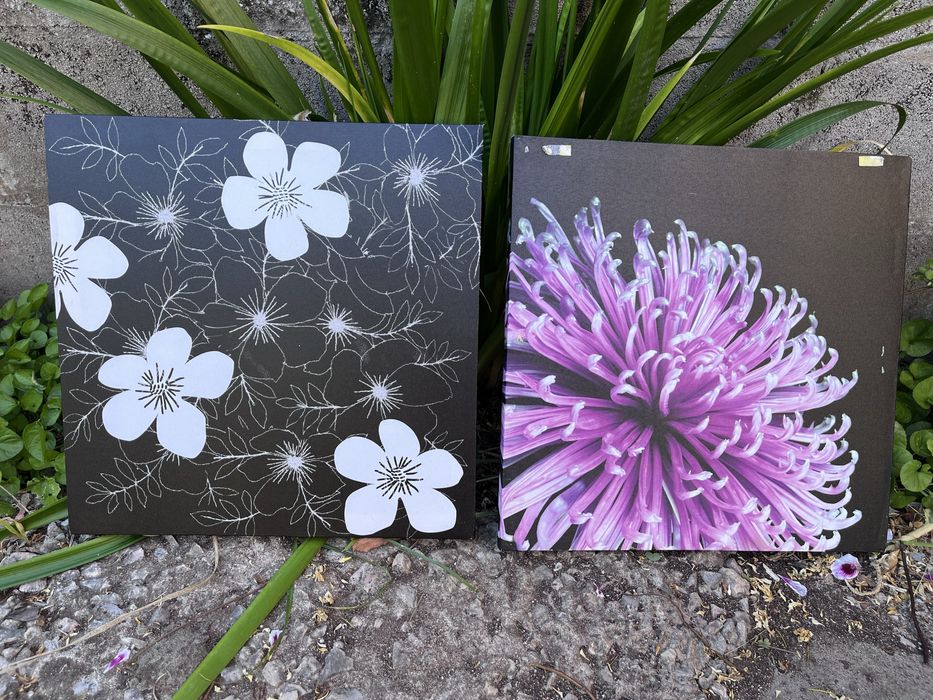 Dois Quadros Decorativos