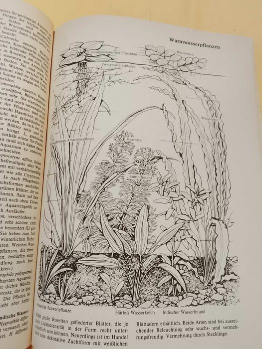 Аквариум. Всё с самого начала