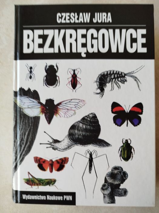 Bezkręgowce podręcznik akademicki