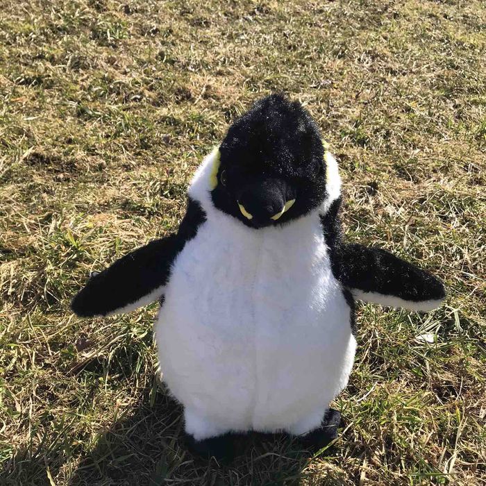 Топові м'які ігрушки