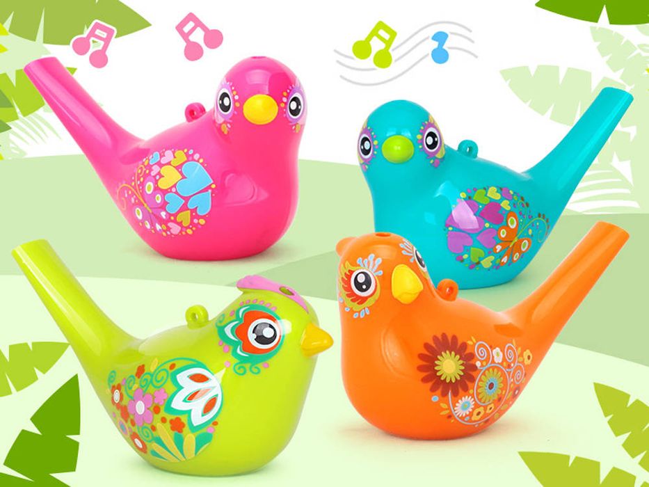 ptaszek gwizdek wodny ptak water bird birds za1483