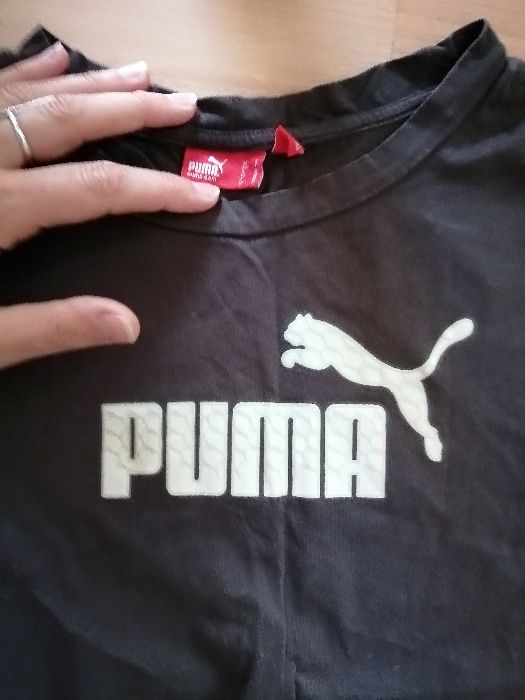 Letnie koszulki ,T-shirt dla chłopca roz. 142-146 cm, zestaw Puma