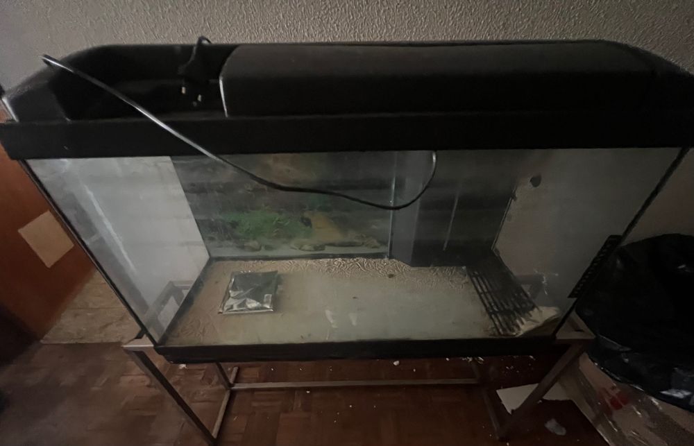 aquario de 80cm com suporte em metal