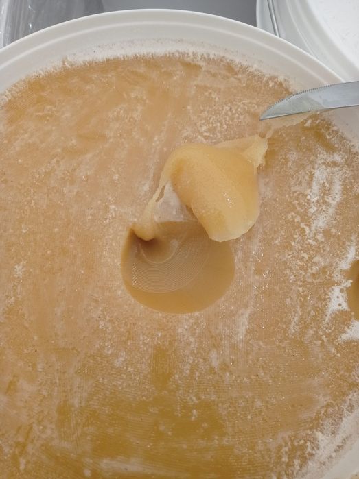 Naturalny Miód Lipowy w wiadrach 28kg
