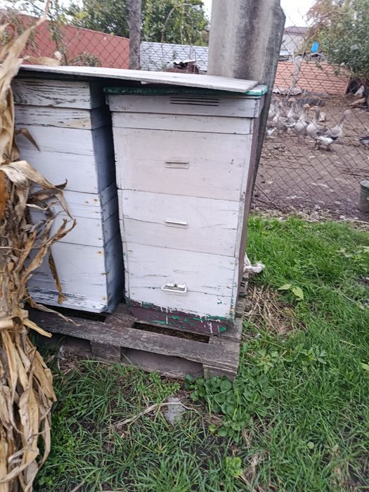 Продам вулики б/у