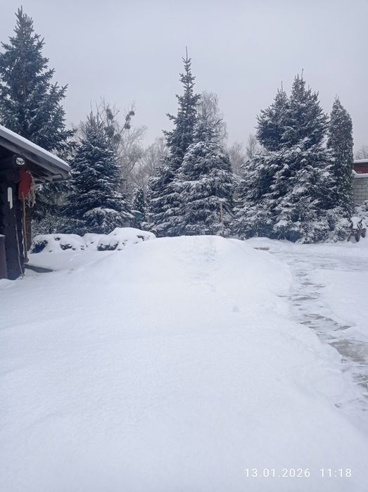 сдам дом сруб Ковбой на берегу пруда в п | Хорошево в 12км от Харькова