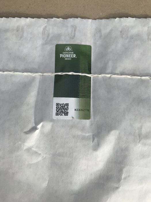 Кукурудза. Насіння