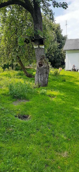 Продам земельну ділянку в с. Рокитне ( Бірки ) - Вид 4