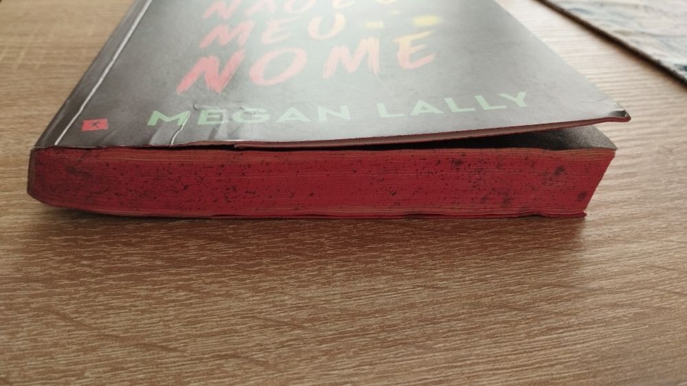 Esse não é o meu nome - Megan Lally