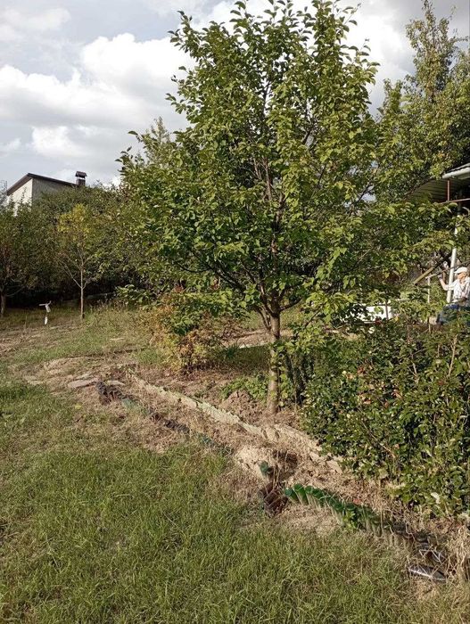 Продається дача с. Смиківці