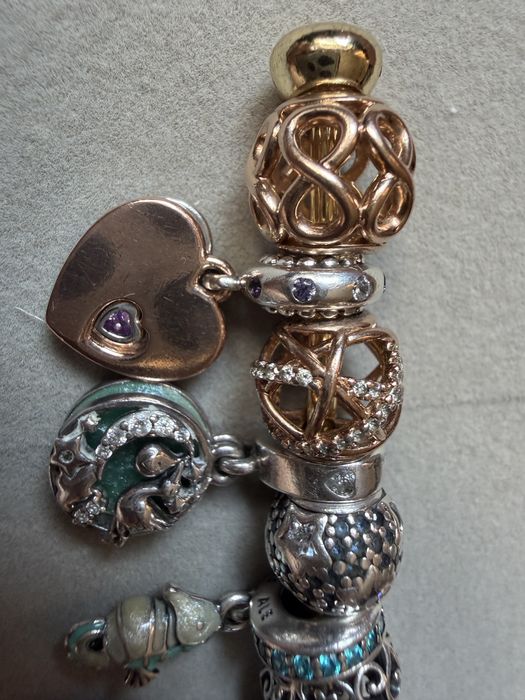 Pandora Moments charms