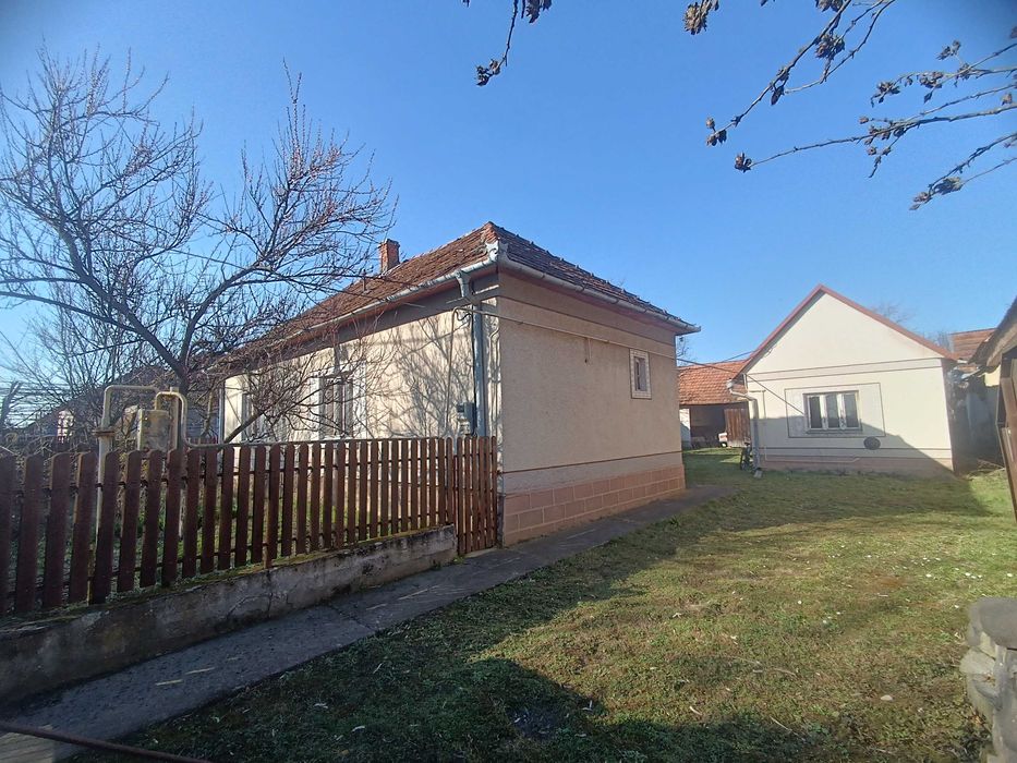 Велике БУДИНКОВОЛОДІННЯ у с. Балажер 7км до Берегова, ділянка 16 соток