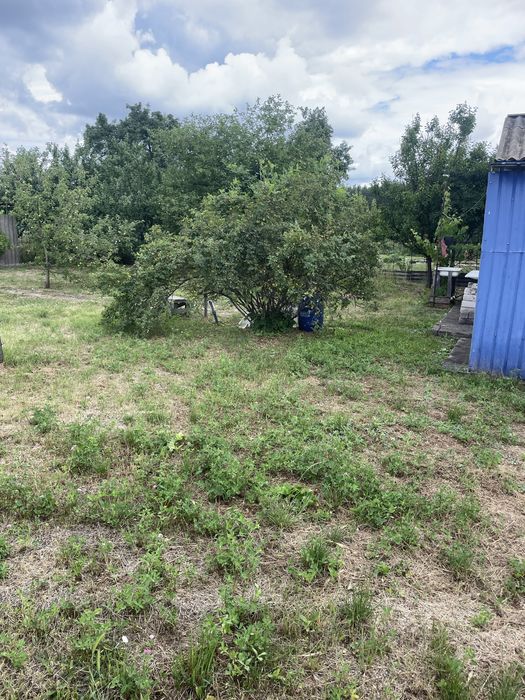 Дача дормашевец