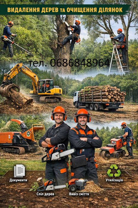 Вам потрібно Розчистити Ділянку, Видалити Аварійні Дерева?