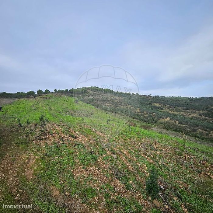 Terreno  para venda — Azinhal, Faro