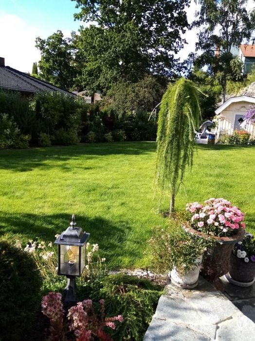 Професійні послуги садівника.