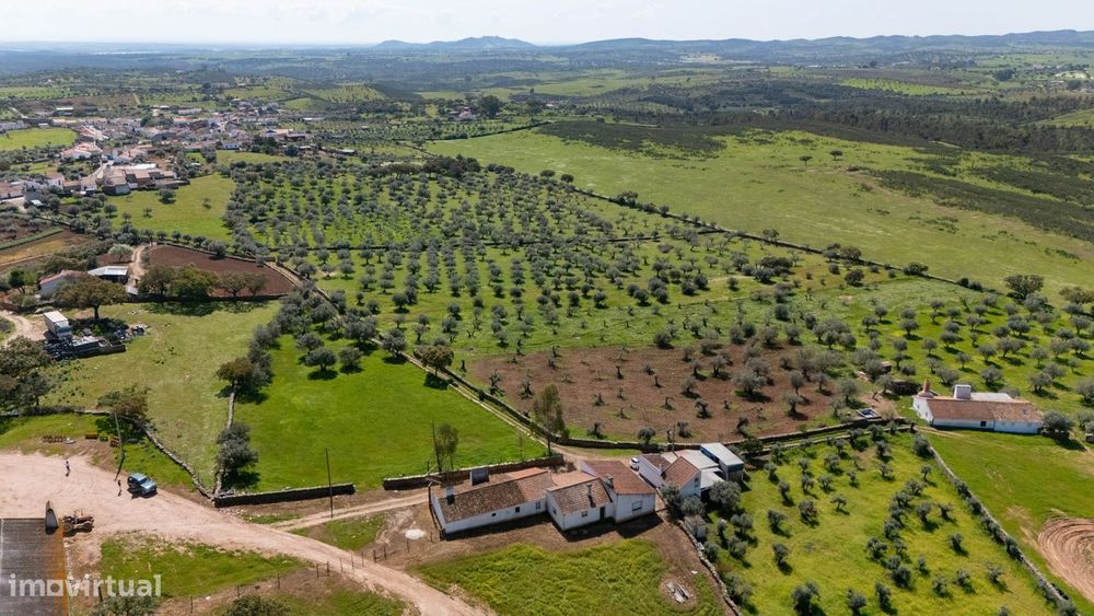 Monte da Chamurreira – Casa Tradicional com História a 10 Minutos do A