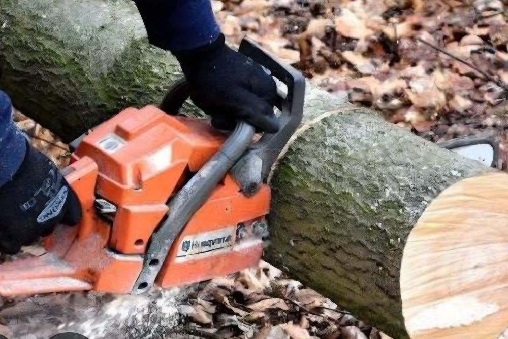 Poda e abate de árvores