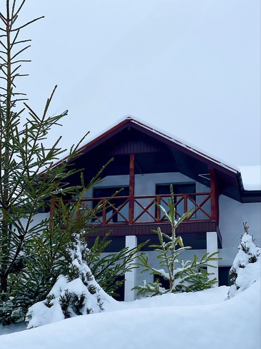 Окремий котедж.Славське.Відпочинок