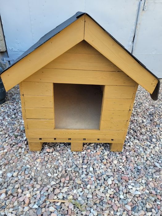 Buda, duża buda dla psa