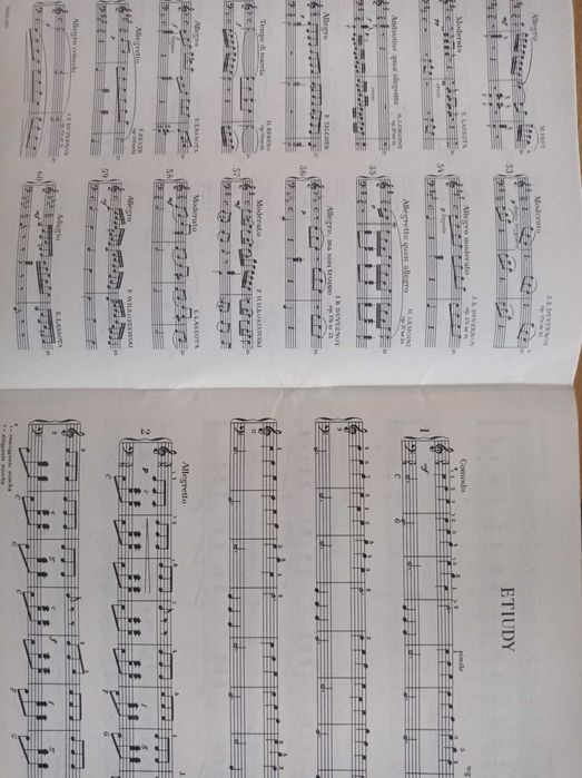 Nuty na akordeon etiudy Skarbczyk akordeonisty