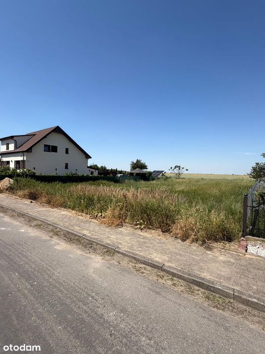 Działka, Przyłubie