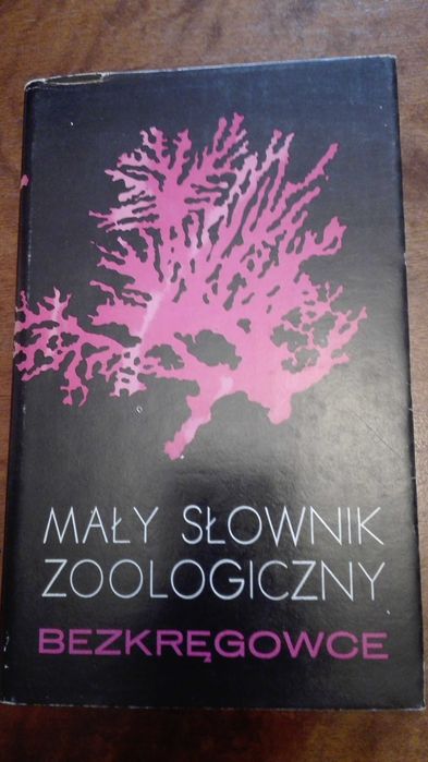 Bezkręgowce - mały słownik zoologiczny