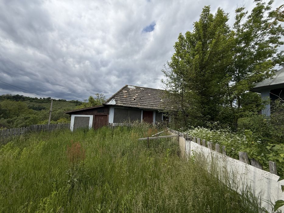 Продам будинок с. Кривчик