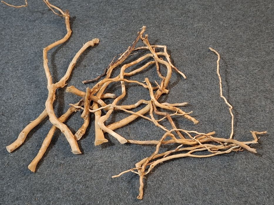 Tronco para aquário plantado - Novo 9 €