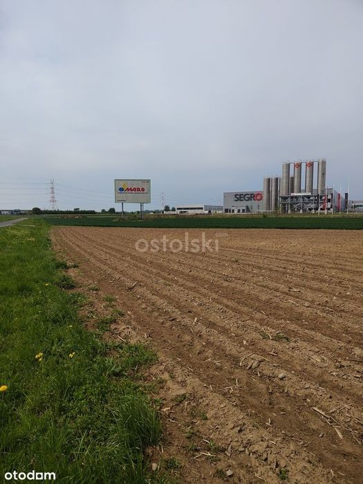 W strefie przemysłowej przy autostradzie