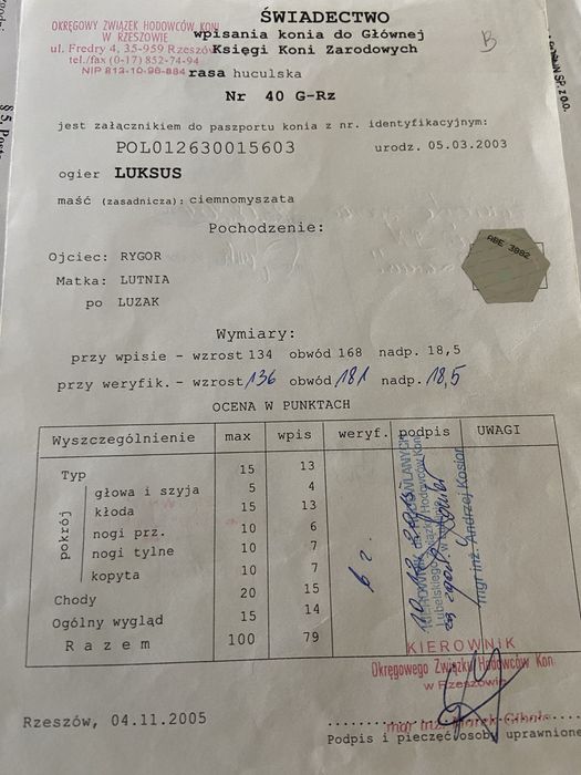 Ogier Hucuł Luksus Licencja