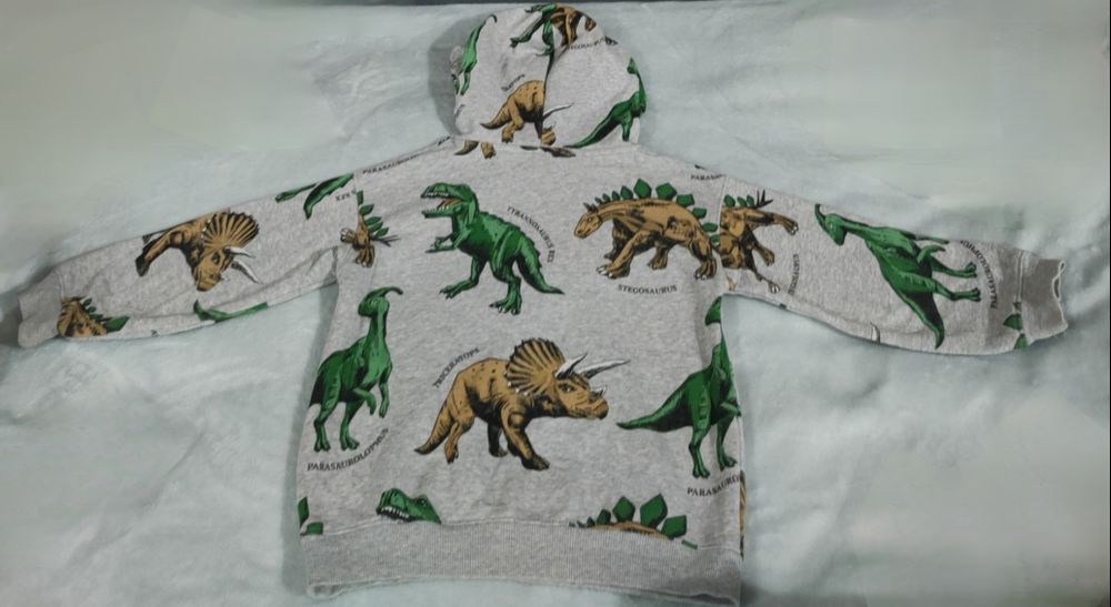 Szara bluza w dinozaury H&M 110/116