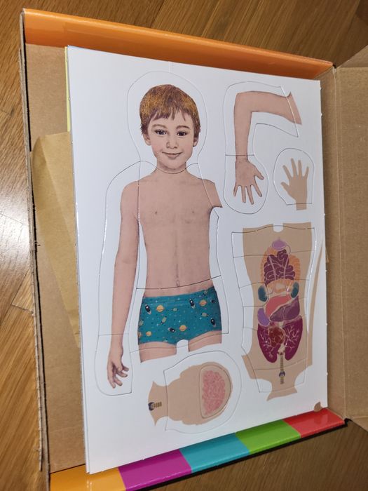Jogo corpo humano clementoni novo