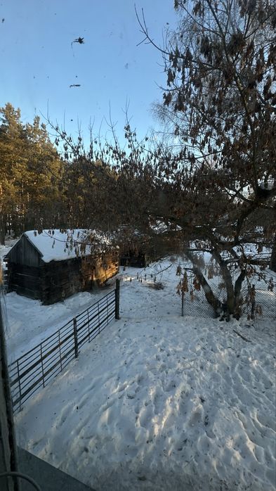 Добротний теплий будинок для життя біля лісу та річки