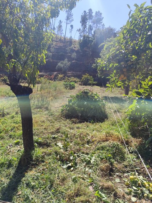 Terreno Pequeno Silvares