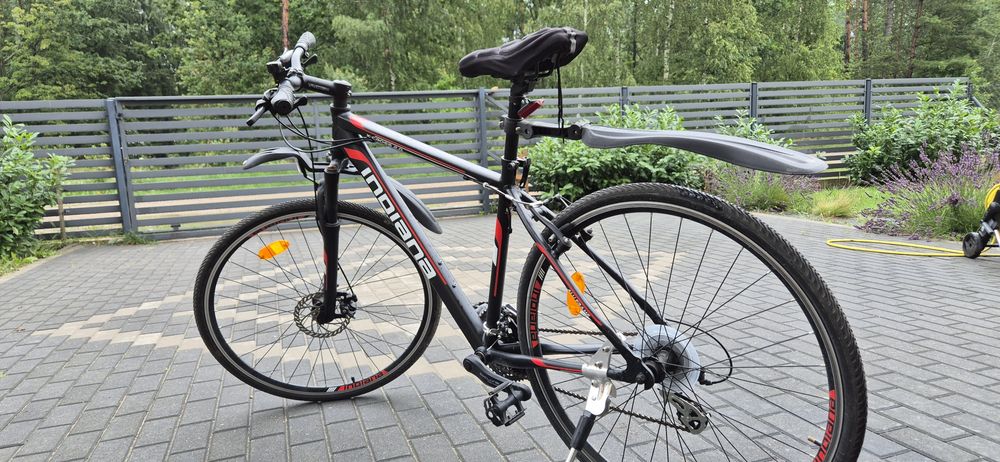 Rower Indiana koła 19