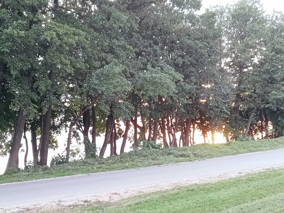 Działka Trygort Zwierzyniecki Róg