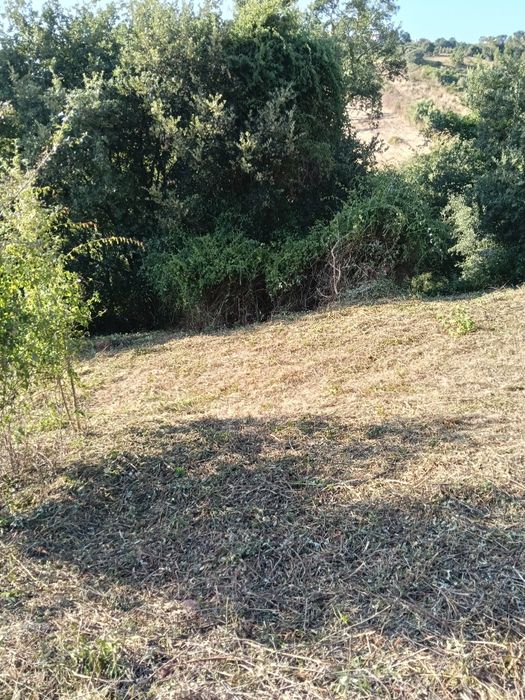Roço terrenos, pequenos e médios