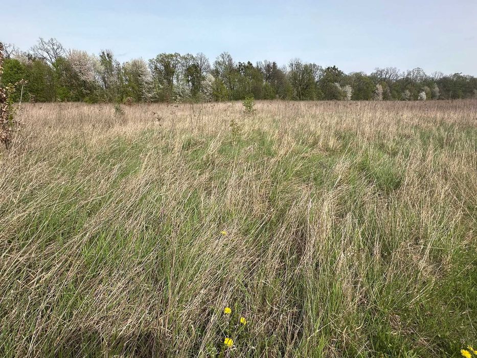 Продам фасадну ділянку в Ксаверівці