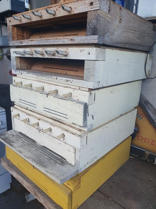 Ule wielkopolskie 10r Poławiacze  PYŁKU DENNICIOWE w komplecie