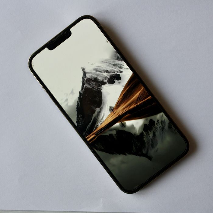 iPhone 13 Pro Max 512 GB