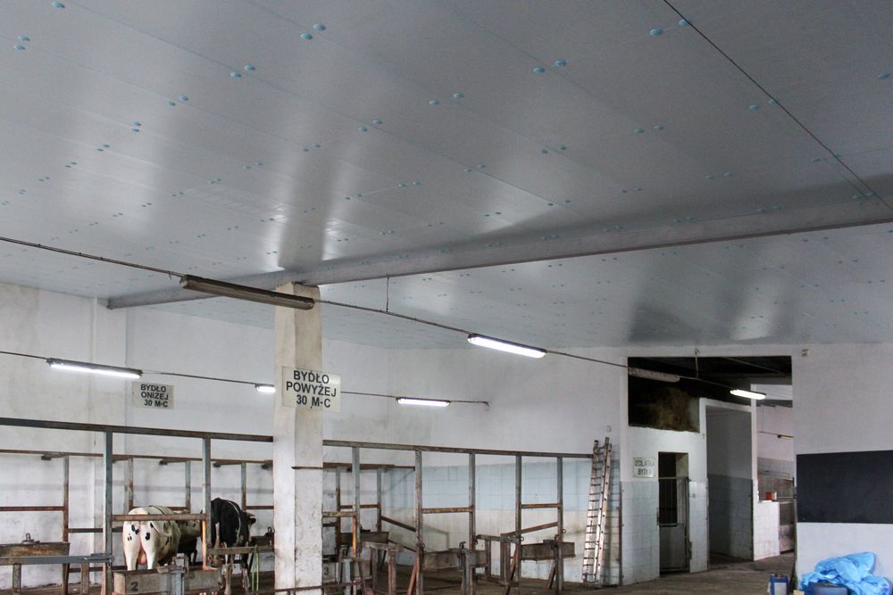 Izolacja Styrodur XPS AGRO Ocieplenie pod Płyty Warstwowe Obornickie