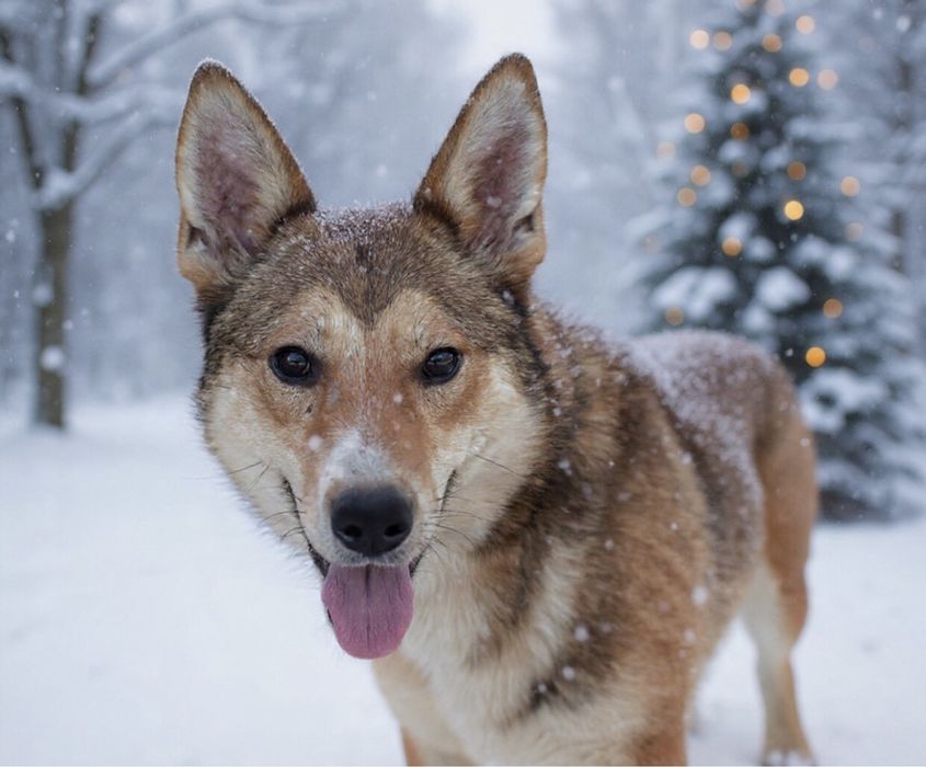 Джина дуже хоче бути щасливою!