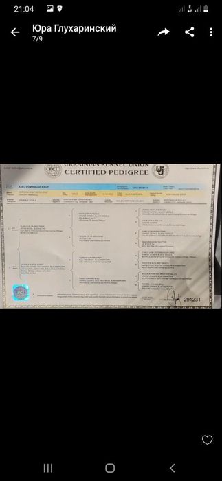 Немецкие щеночки