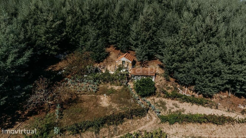 Terreno Rústico / Oliveira do Hospital, Lagos da Beira e Lajeosa