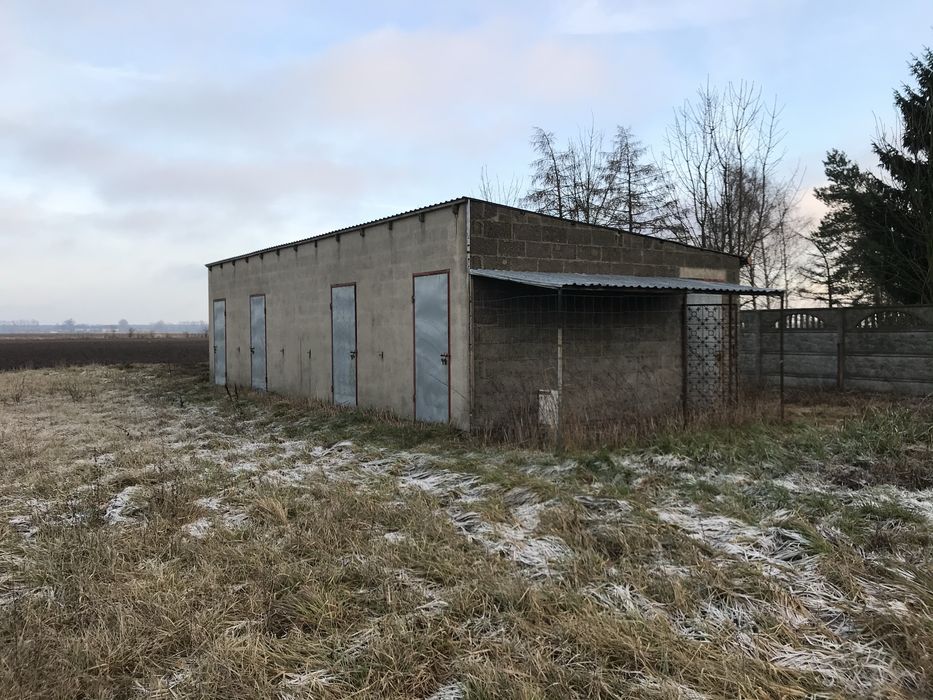 Dom, stajnia i duża działka 1,4 h. Blisko Poznania